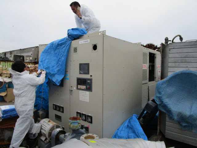 雨除けブルーシートを取ったら ⇒ タグ付け ⇒ 再度シート掛けします。